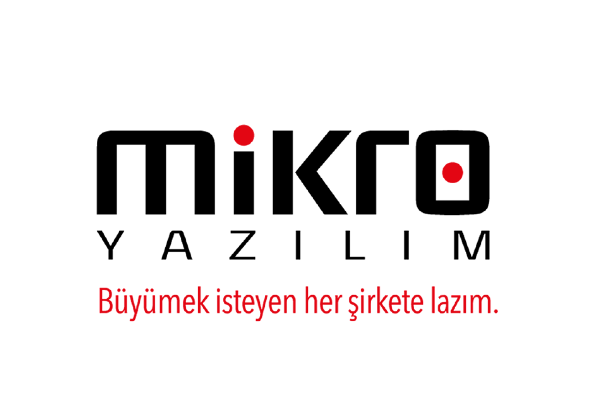 Mikro Yazılım Servis Hizmeti