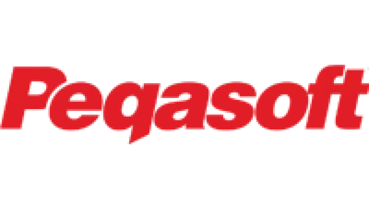 PEGASOFT YAZILIM